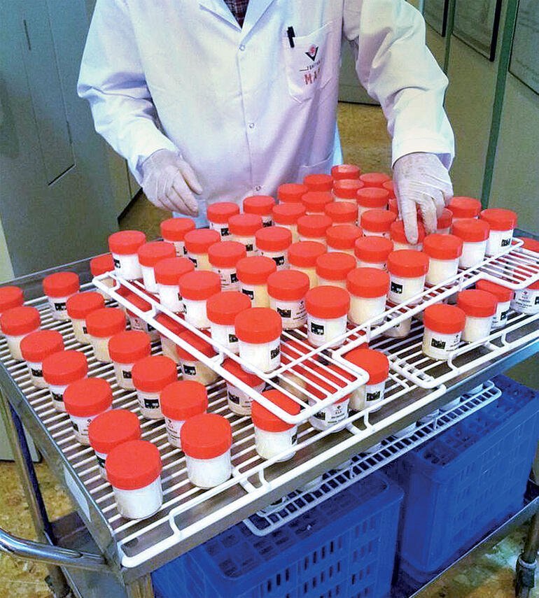 TÜBİTAK’tan ‘mucize’ yoğurt