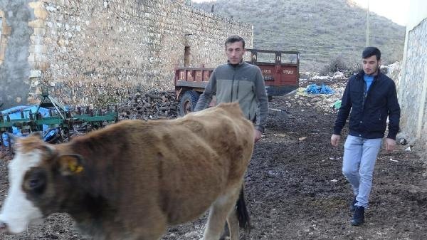 Bu köyde kimse sigara içmiyor