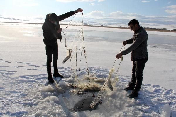 Buzla kaplanan Çıldır Gölü, 2020'de de gözde -6