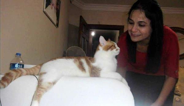 Hatay'da 2 odalı evde 17 kedi ile birlikte yaşıyor