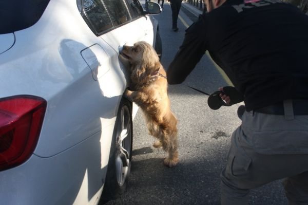 İstanbul’da yeni yılın ilk ‘Kurt Kapanı 1’ uygulaması -7