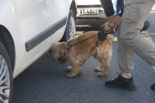 İstanbul’da yeni yılın ilk ‘Kurt Kapanı 1’ uygulaması -2
