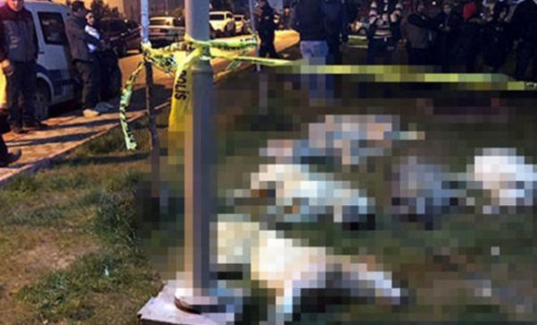 Sokak köpeklerini zehirleyen 3 kişiye 10 yıl hapis