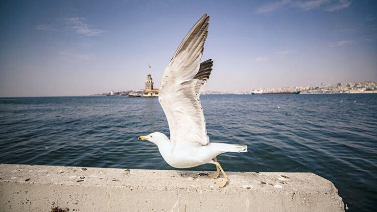 Son dakika haberi: 15 il için yeni corona virüs uygulaması İşte tersine karantinanın detayları