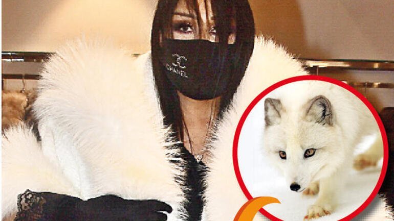 Şoke eden iddia 55 tilki... Bülent Ersoy kürk sevdasından vazgeçmiyor